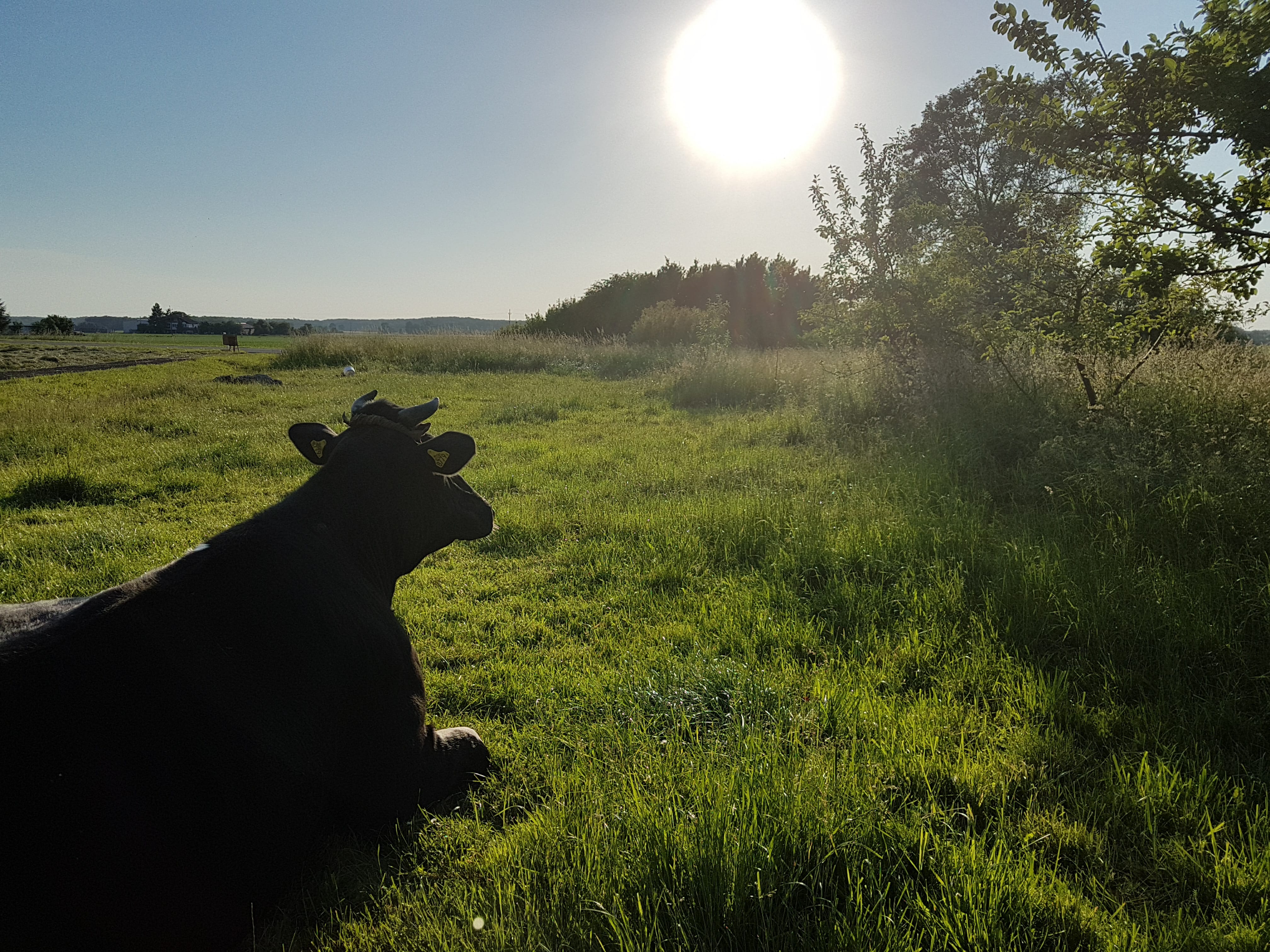 Żyjemy blisko natury