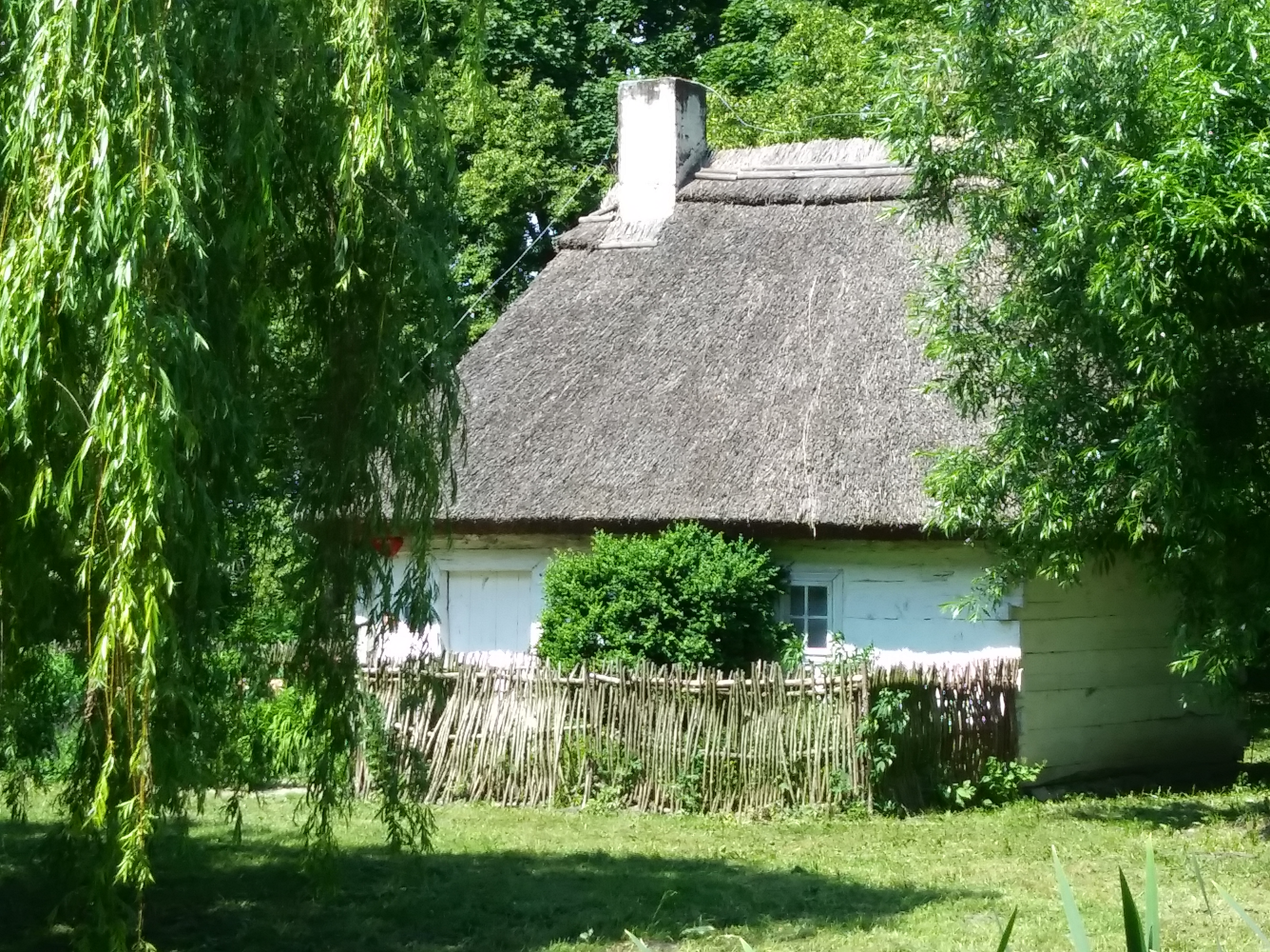 Żyjemy blisko natury